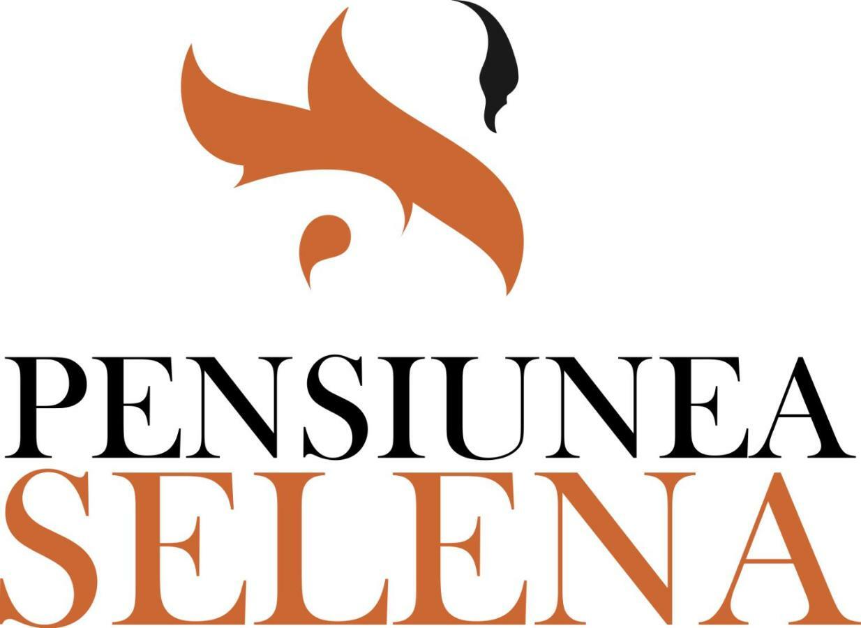 Pensiunea Selena Felsővisó Kültér fotó